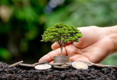 Árvore de Decisão: o que considerar antes de construir seu imóvel