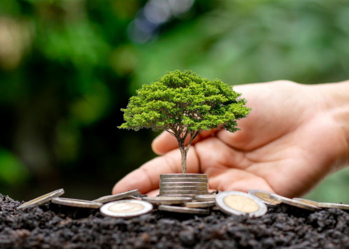 Árvore de Decisão: o que considerar antes de construir seu imóvel