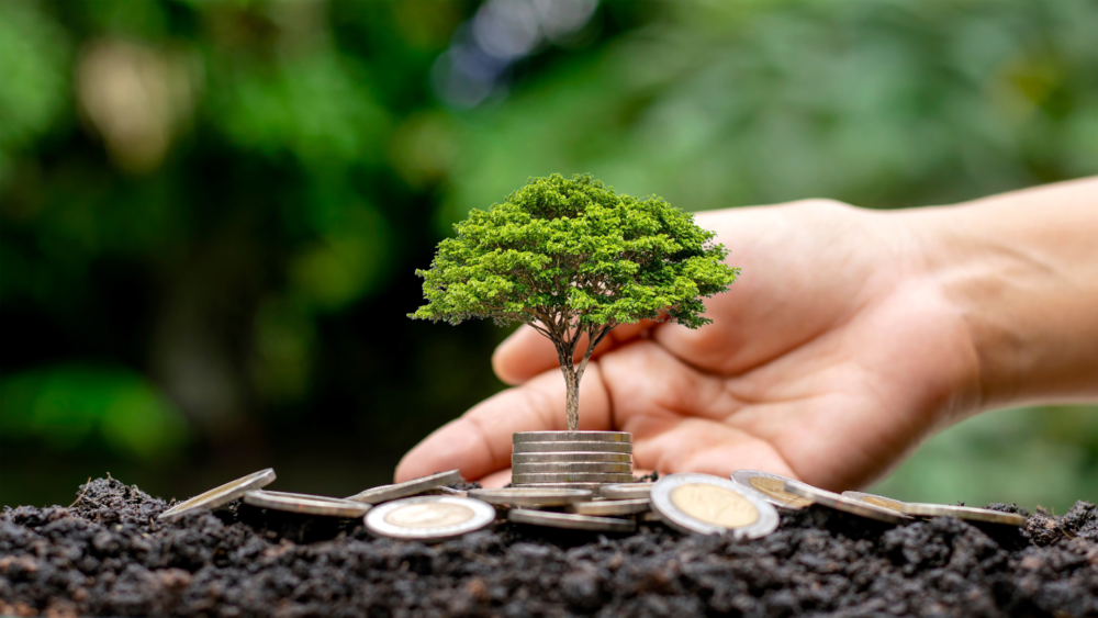 Árvore de Decisão o que considerar antes de construir seu imóvel 